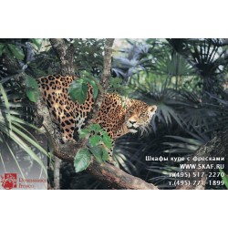 freska_photo-collection_zhivotnye_073