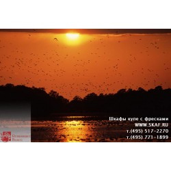 freska_photo-collection_zhivotnye_074