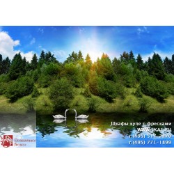 freska_photo-collection_zhivotnye_079