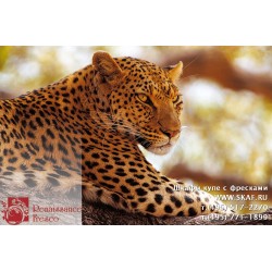 freska_photo-collection_zhivotnye_085