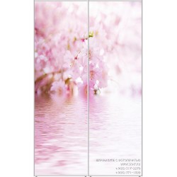 sakura-2-0003
