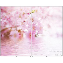 sakura-4-0063