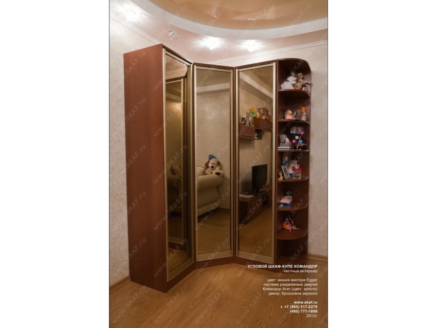 Шкаф-купе Агат-3-08