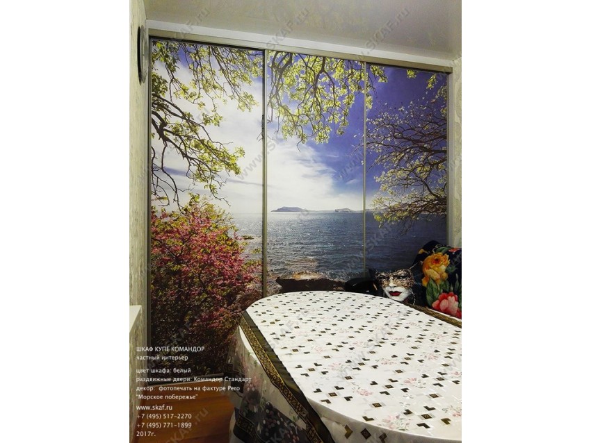 Шкаф-купе Стандарт-3-06