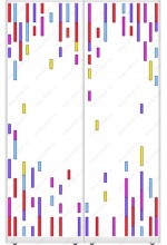 vitrazh-na-2-dveri-113